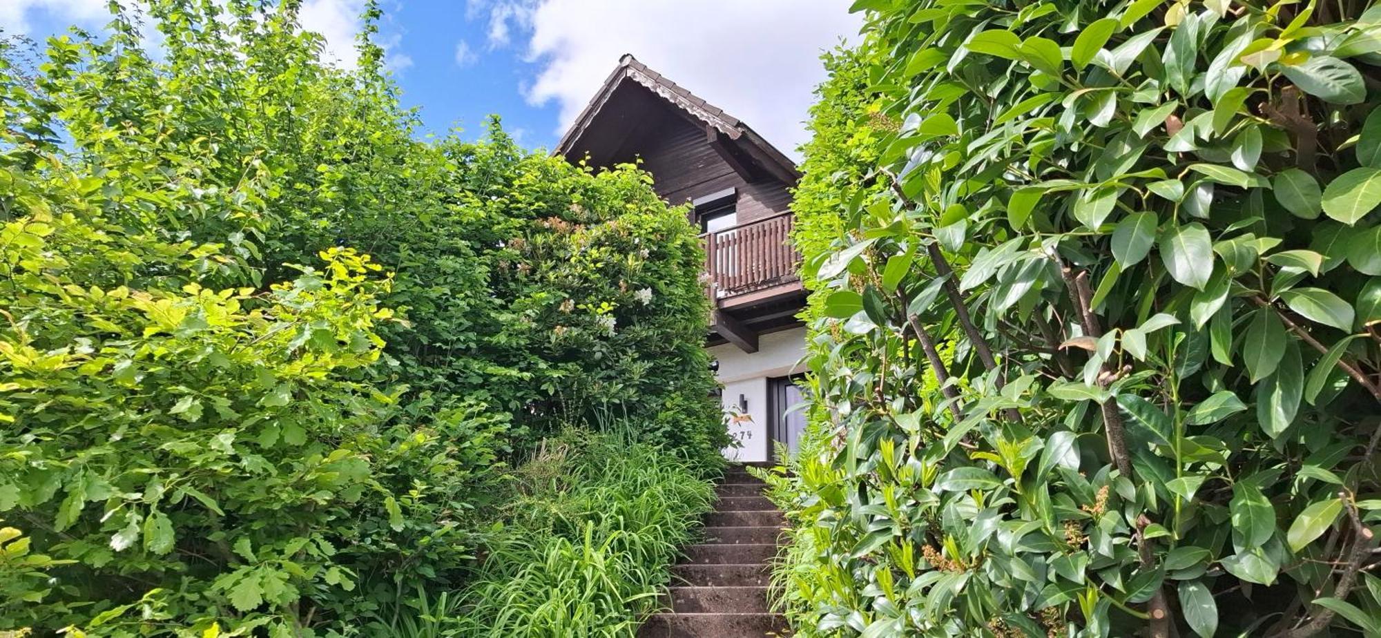 Odenwald Lounge Reichelsheim Exterior foto